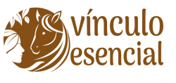 Vinculo Esencial